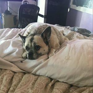 Meet your Posher, Rachel